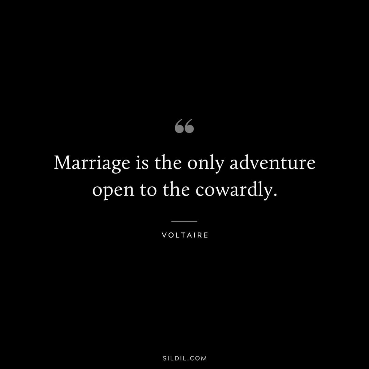 Marriage is the only adventure open to the cowardly. ― Voltaire