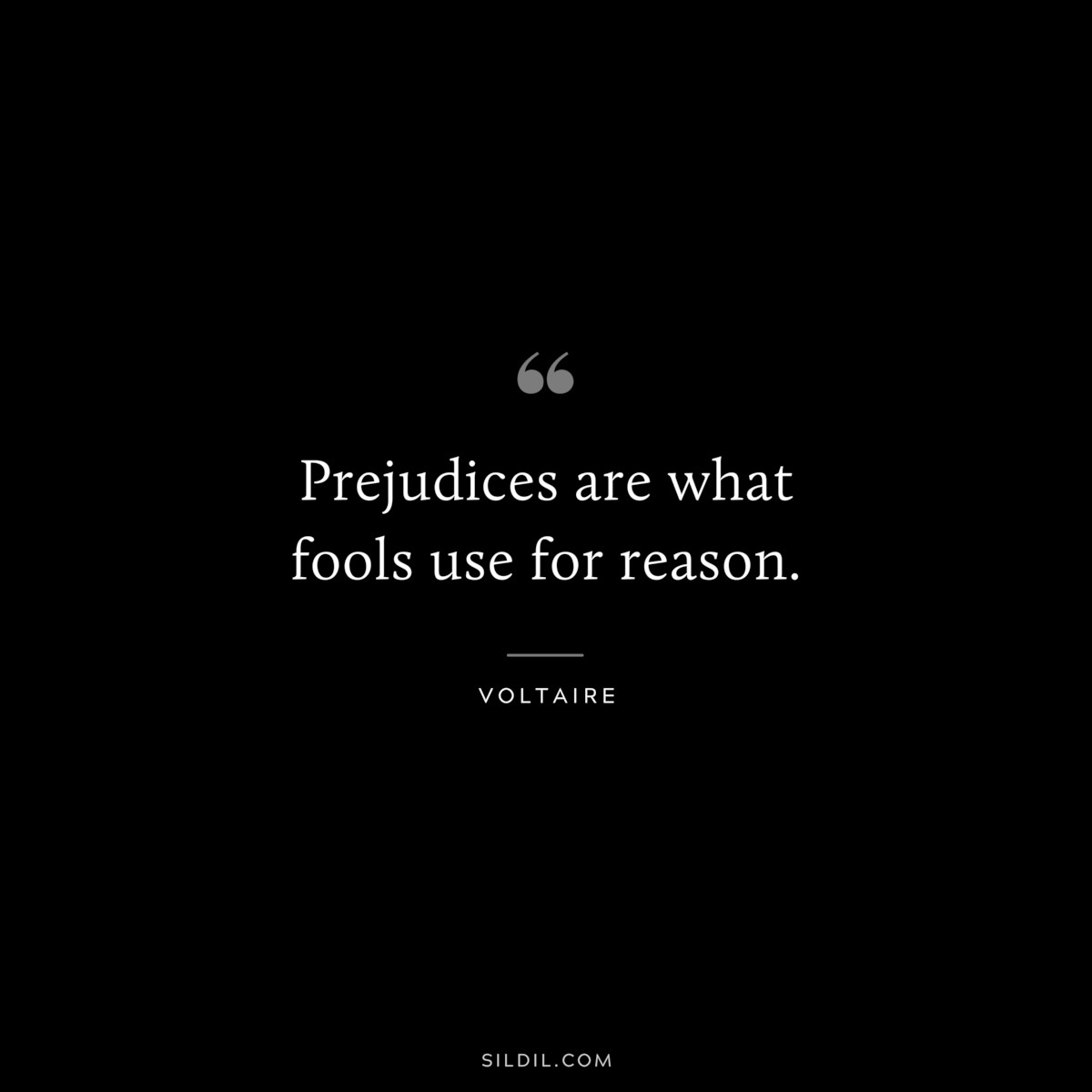 Prejudices are what fools use for reason. ― Voltaire