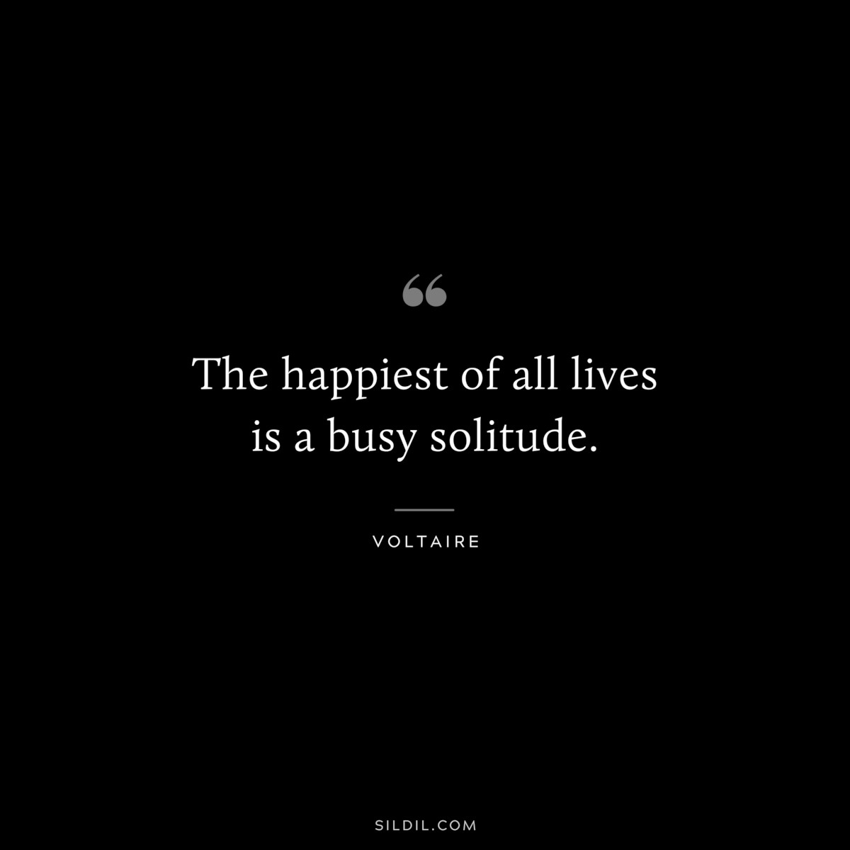 The happiest of all lives is a busy solitude. ― Voltaire