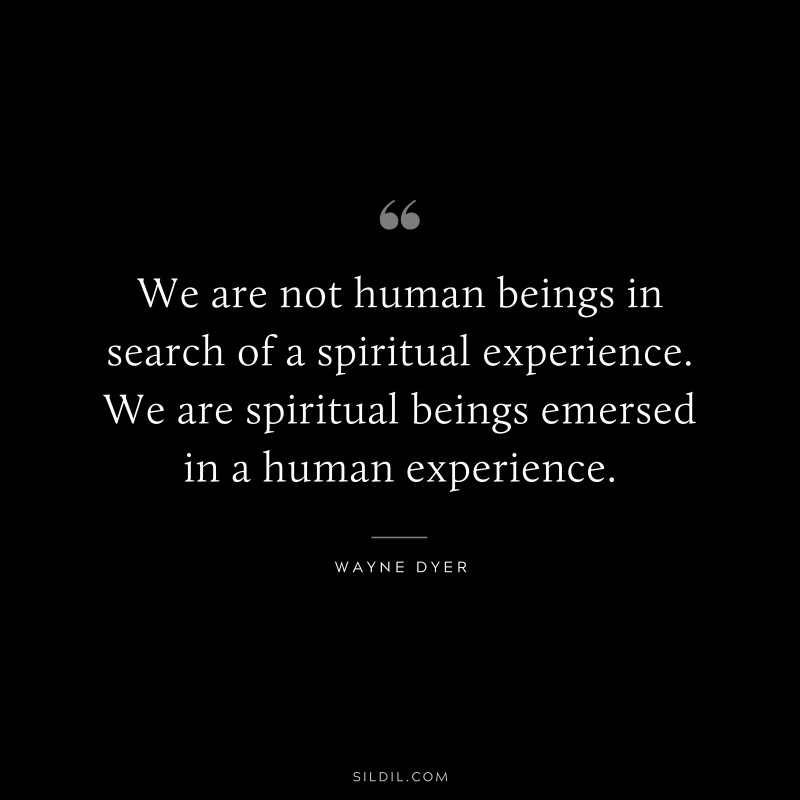 We are not human beings in search of a spiritual experience. We are spiritual beings emersed in a human experience. ― Wayne Dyer