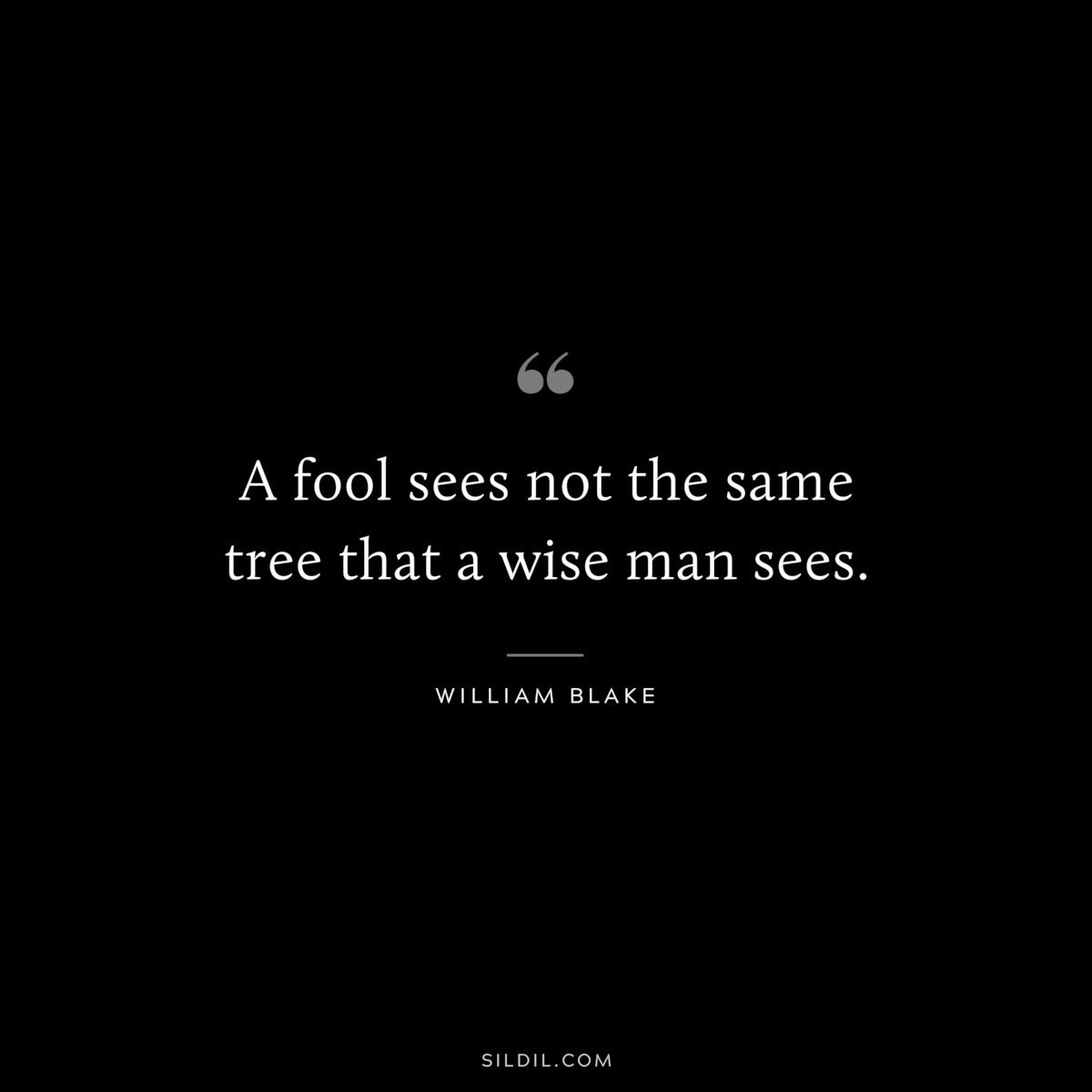 A fool sees not the same tree that a wise man sees. ― William Blake