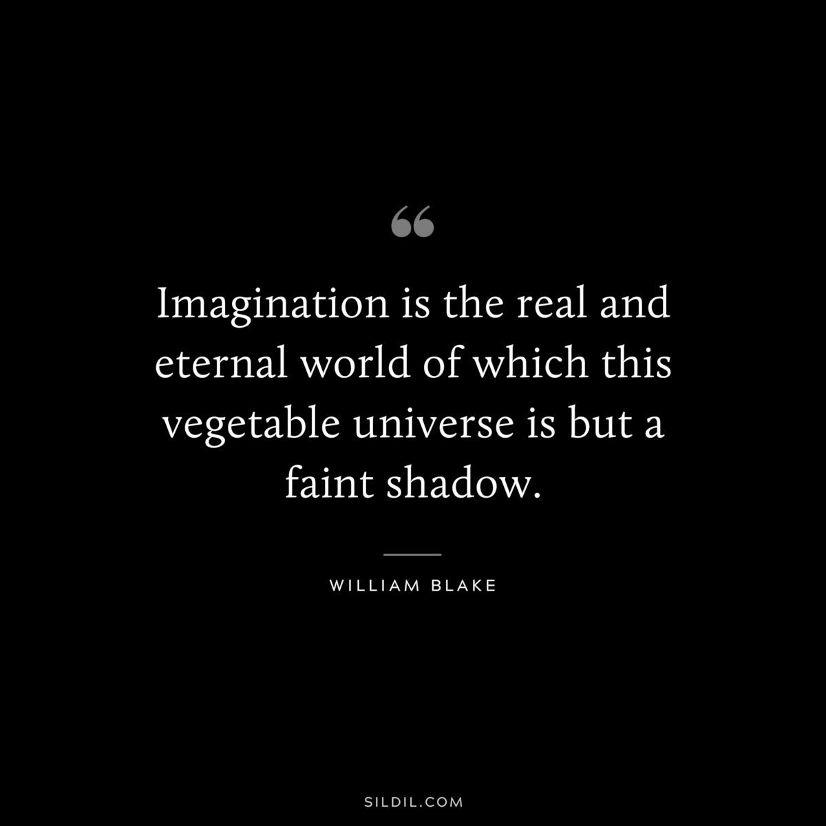 Imagination is the real and eternal world of which this vegetable universe is but a faint shadow. ― William Blake