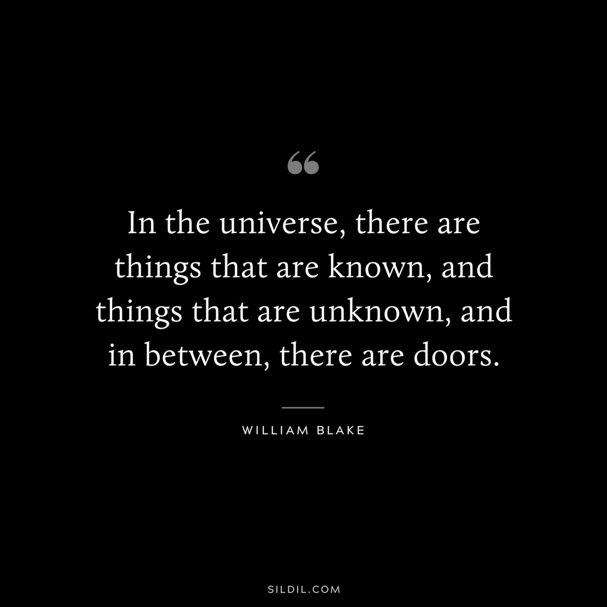 In the universe, there are things that are known, and things that are unknown, and in between, there are doors. ― William Blake