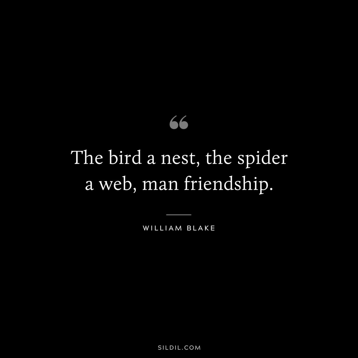 The bird a nest, the spider a web, man friendship. ― William Blake