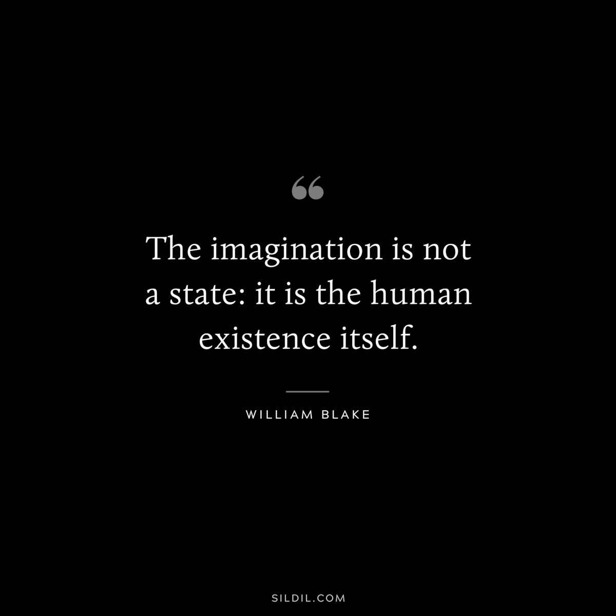 The imagination is not a state: it is the human existence itself. ― William Blake