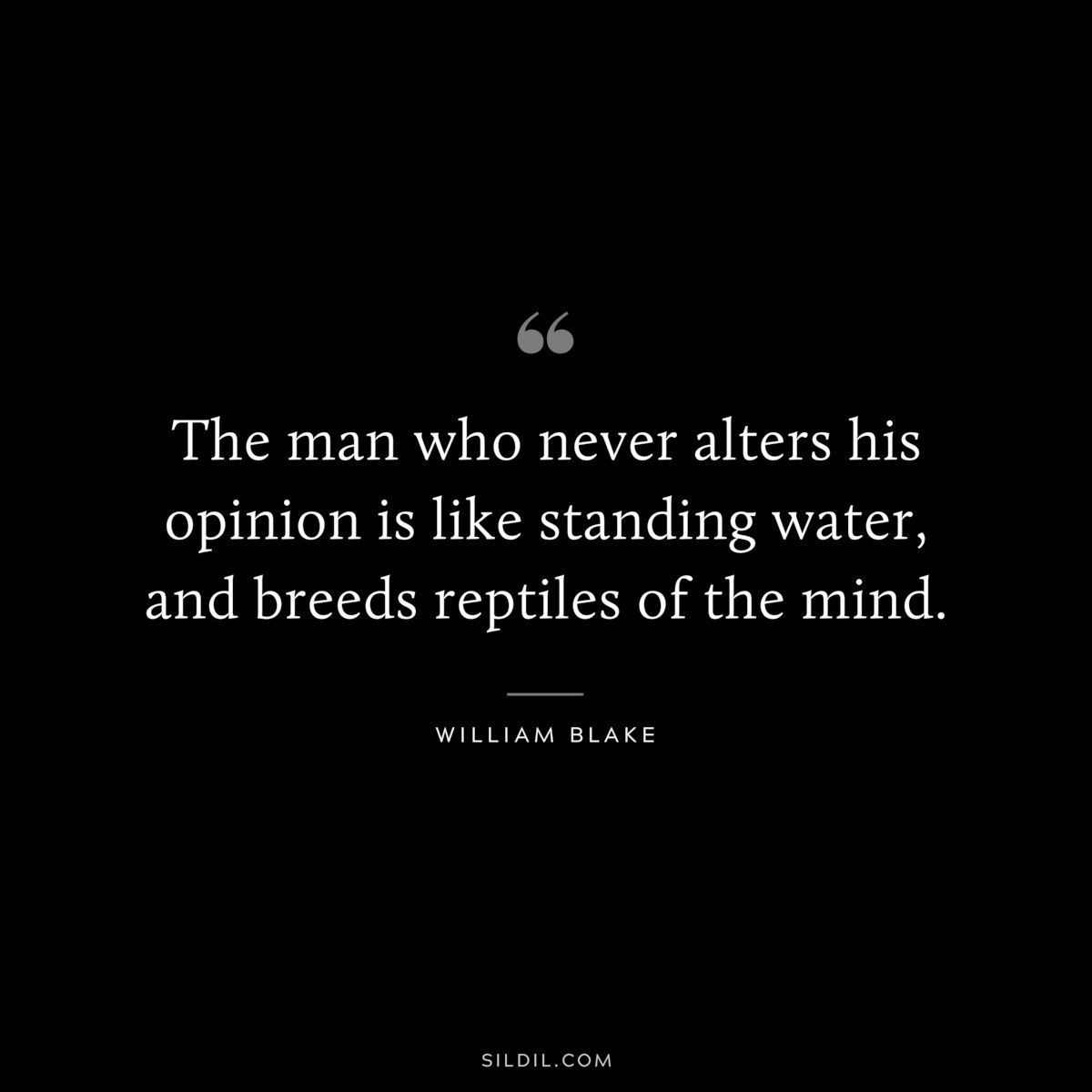 The man who never alters his opinion is like standing water, and breeds reptiles of the mind. ― William Blake