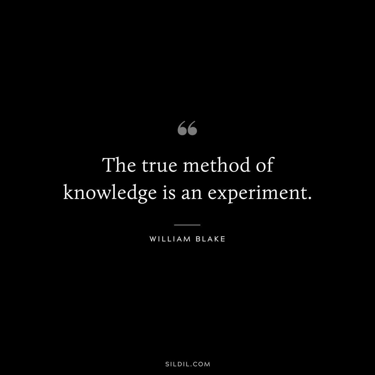 The true method of knowledge is an experiment. ― William Blake