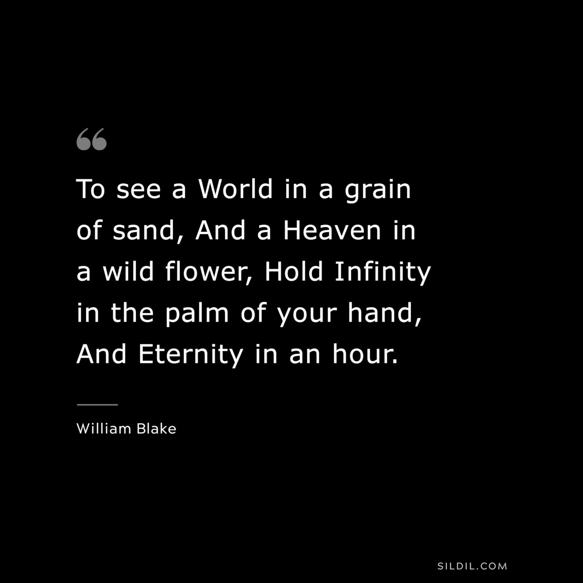 To see a World in a grain of sand, And a Heaven in a wild flower, Hold Infinity in the palm of your hand, And Eternity in an hour. ― William Blake