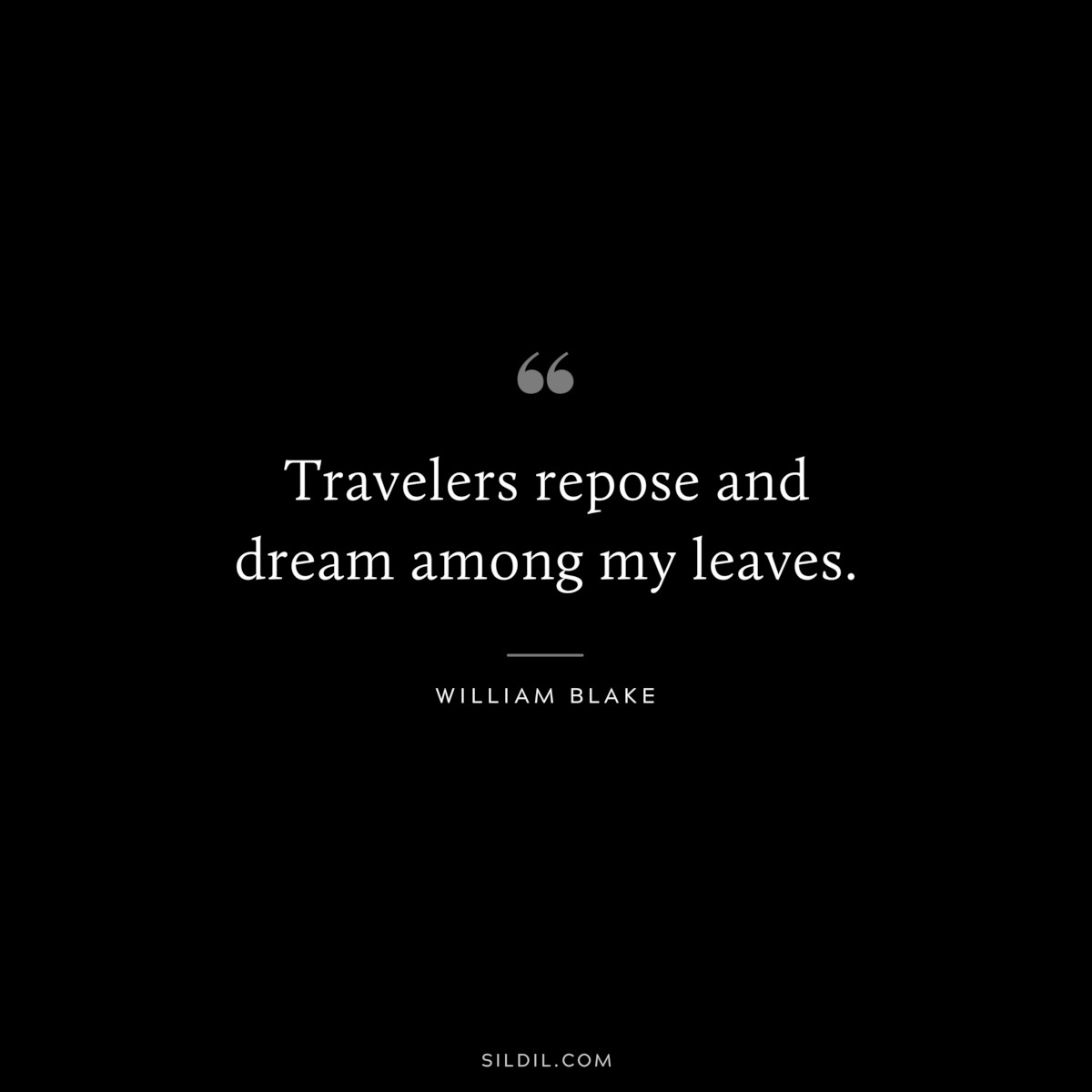 Travelers repose and dream among my leaves. ― William Blake