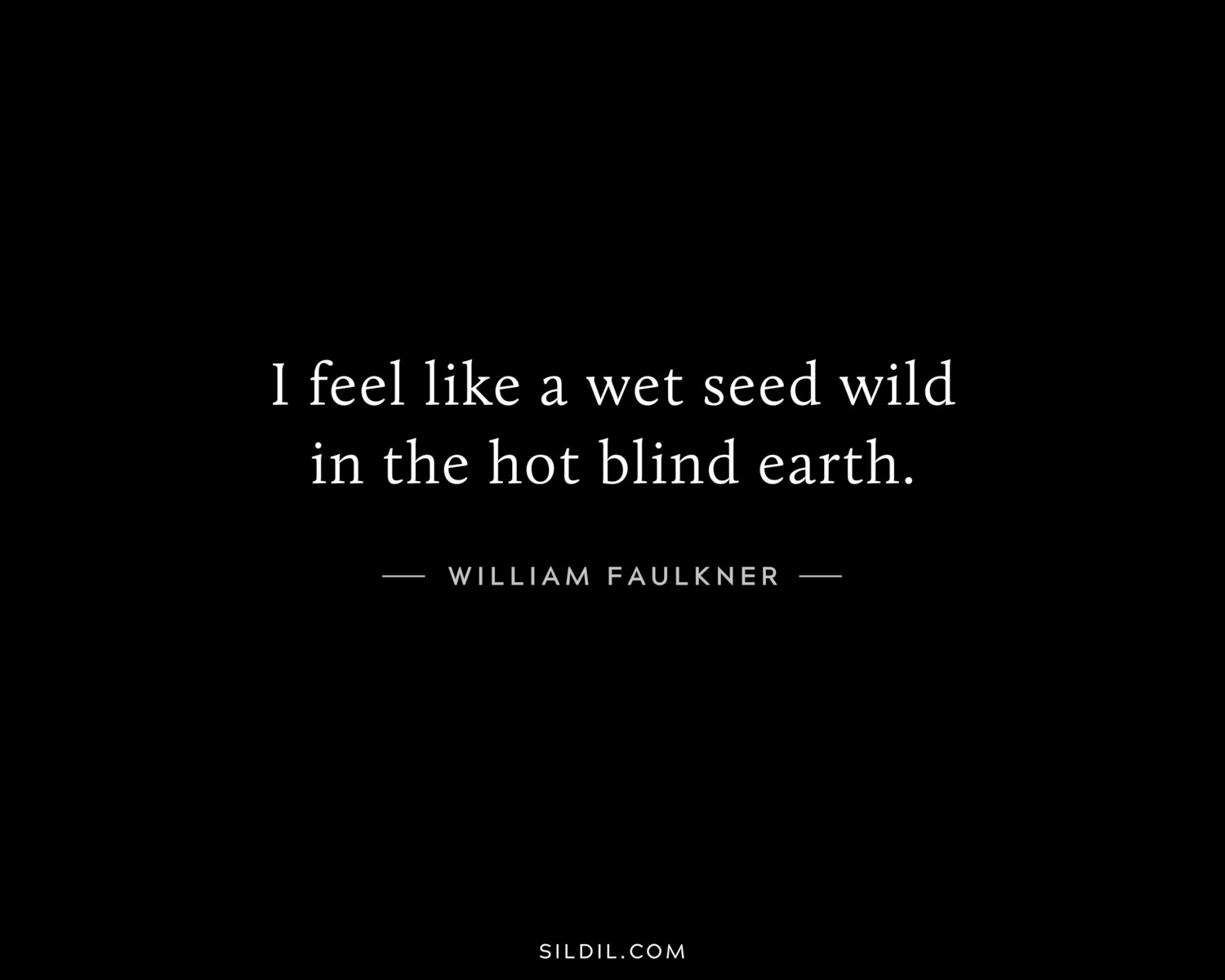 I feel like a wet seed wild in the hot blind earth.