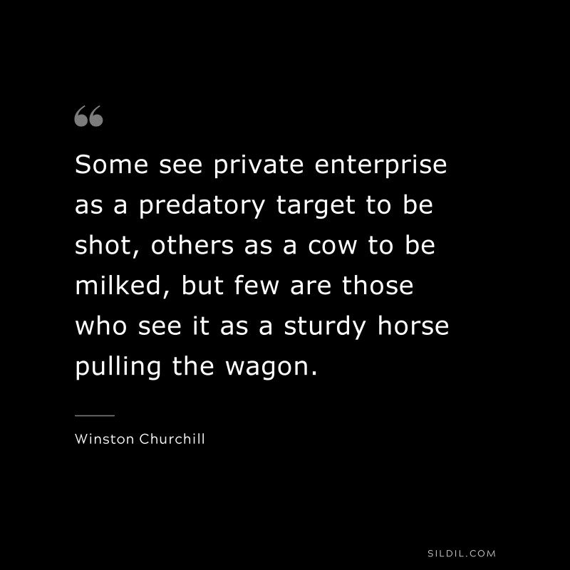 Some see private enterprise as a predatory target to be shot, others as a cow to be milked, but few are those who see it as a sturdy horse pulling the wagon. ― Winston Churchill