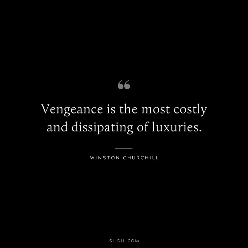 Vengeance is the most costly and dissipating of luxuries. ― Winston Churchill