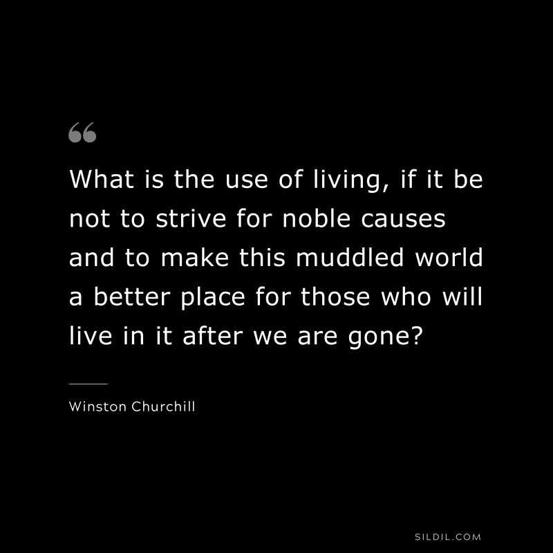 What is the use of living, if it be not to strive for noble causes and to make this muddled world a better place for those who will live in it after we are gone? ― Winston Churchill
