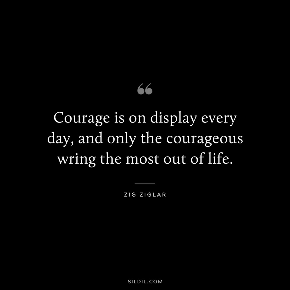 Courage is on display every day, and only the courageous wring the most out of life. ― Zig Ziglar