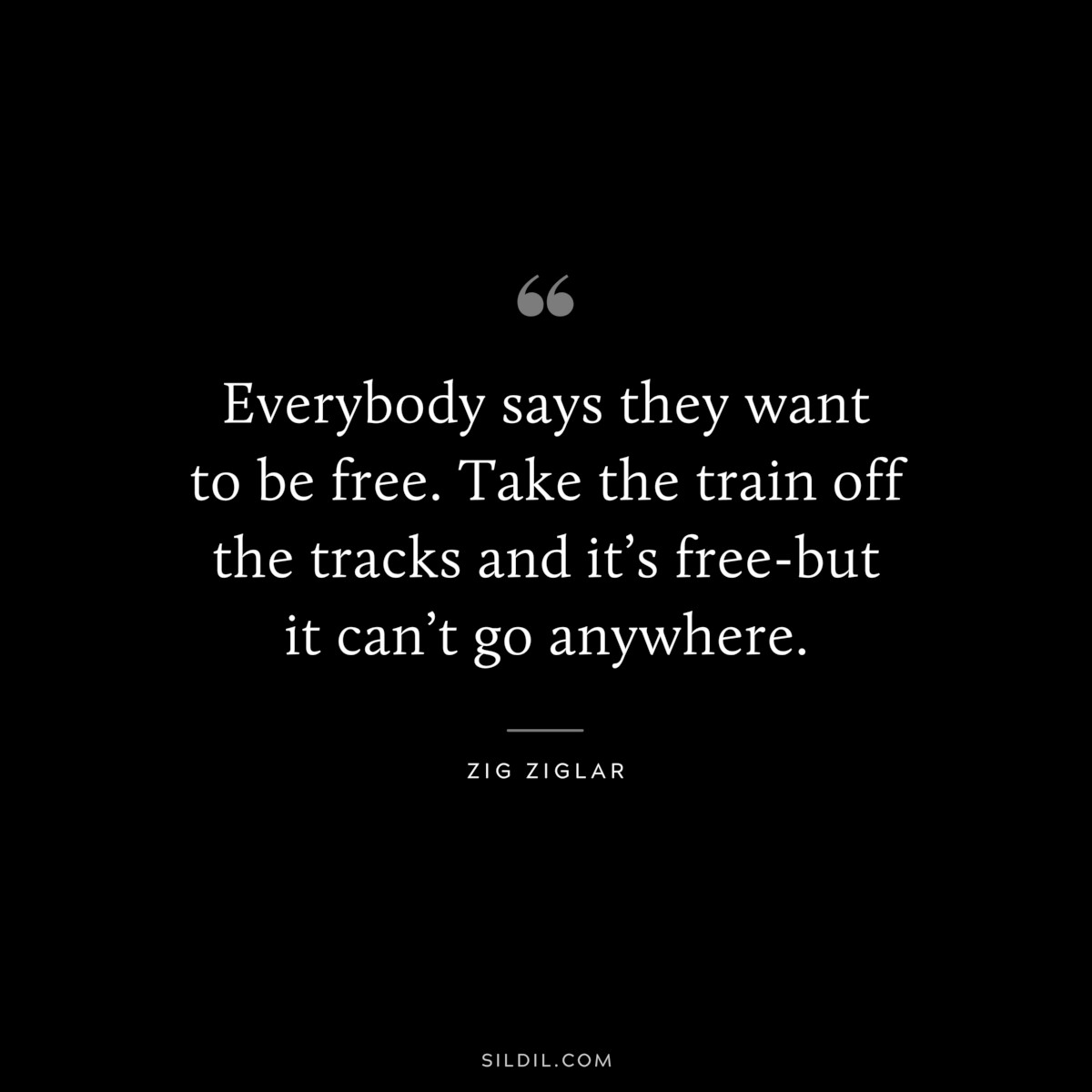 Everybody says they want to be free. Take the train off the tracks and it’s free-but it can’t go anywhere. ― Zig Ziglar