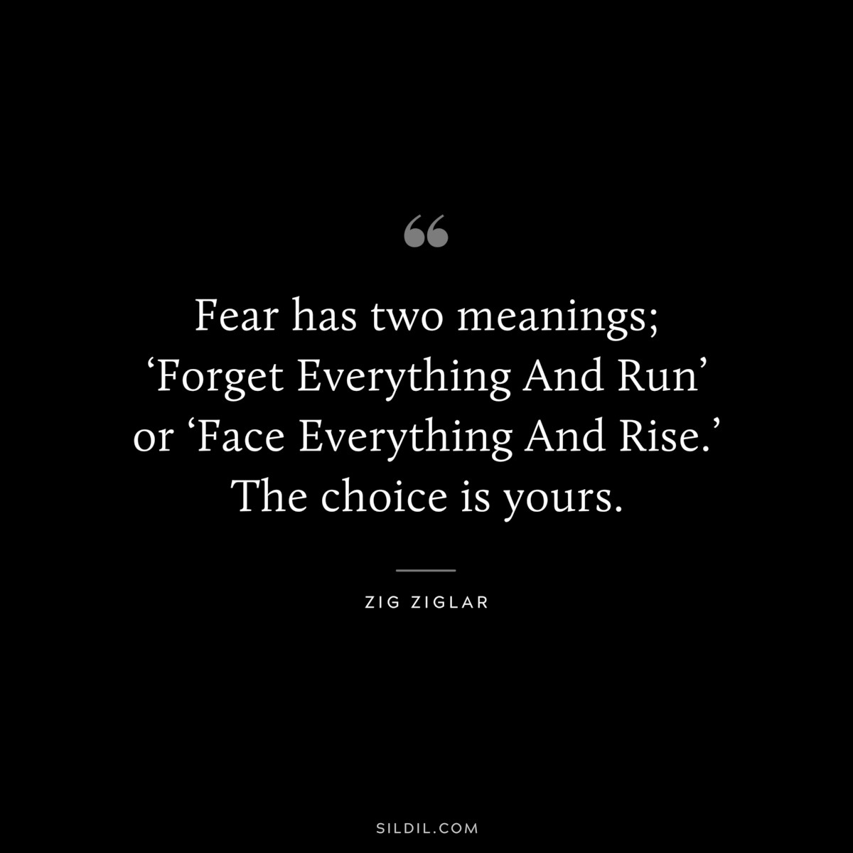 Fear has two meanings; ‘Forget Everything And Run’ or ‘Face Everything And Rise.’ The choice is yours. ― Zig Ziglar