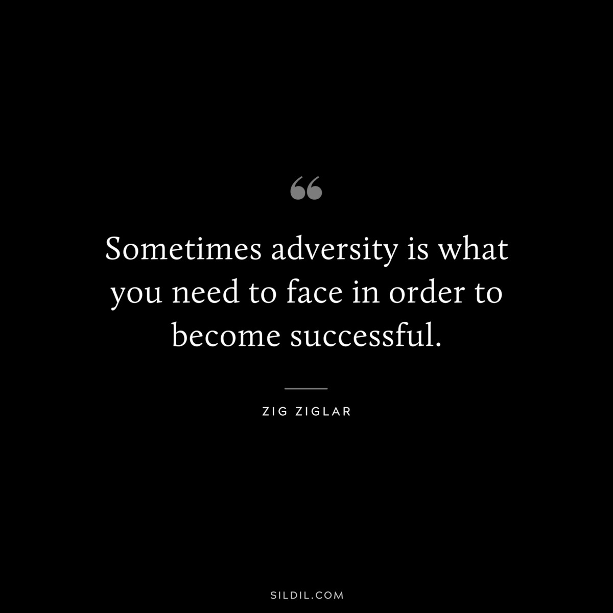 Sometimes adversity is what you need to face in order to become successful. ― Zig Ziglar