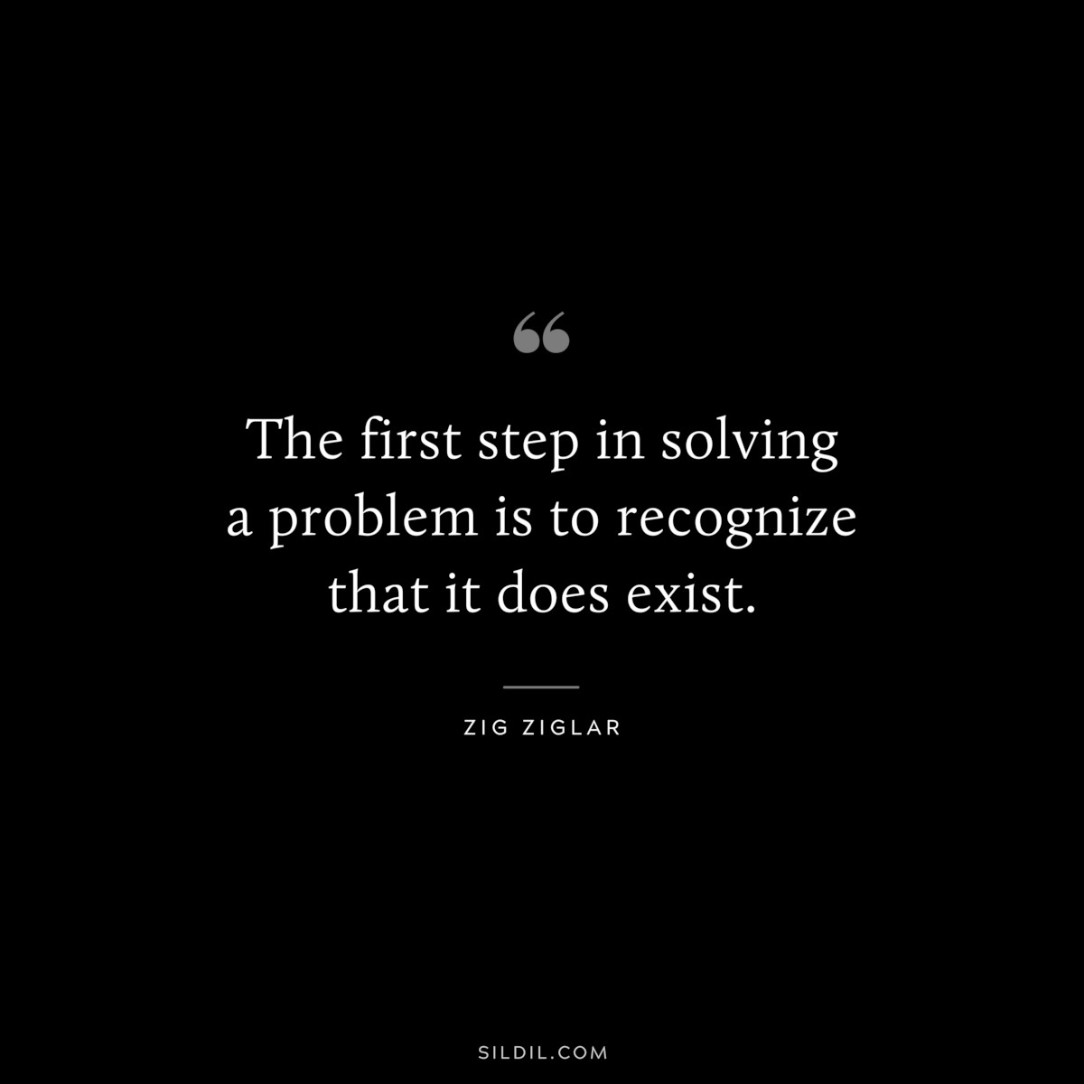 The first step in solving a problem is to recognize that it does exist. ― Zig Ziglar