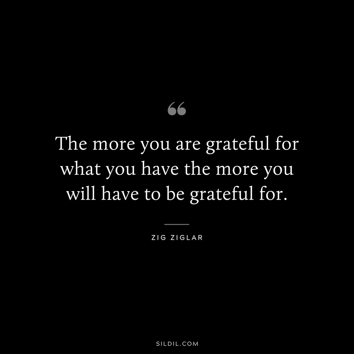 The more you are grateful for what you have the more you will have to be grateful for. ― Zig Ziglar