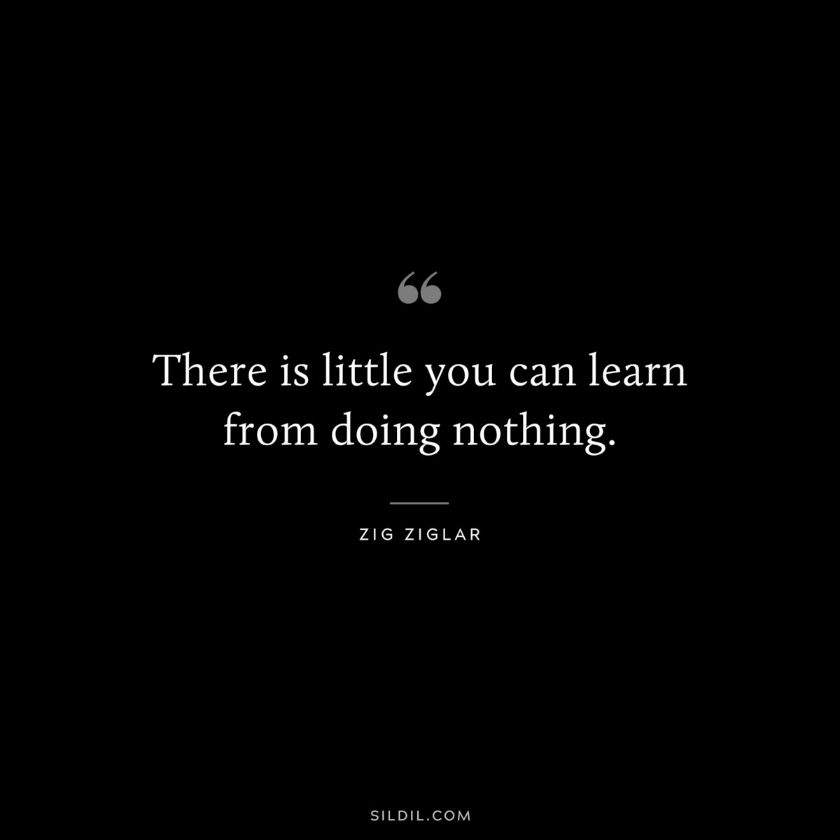 There is little you can learn from doing nothing. ― Zig Ziglar