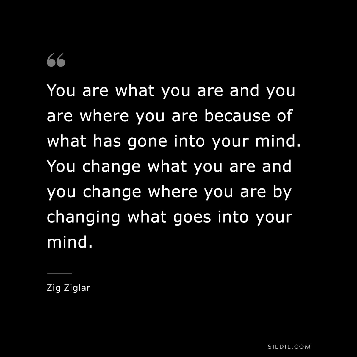 You are what you are and you are where you are because of what has gone into your mind. You change what you are and you change where you are by changing what goes into your mind. ― Zig Ziglar