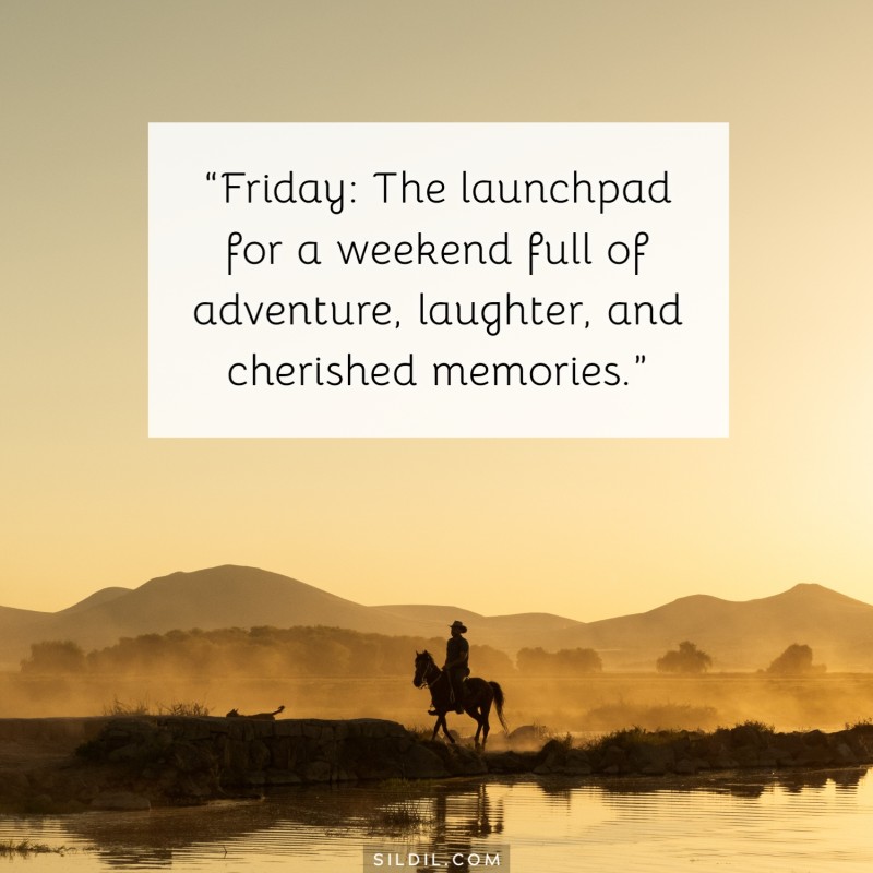 150 Tuesday Quotes to Inspire Laughs and Love