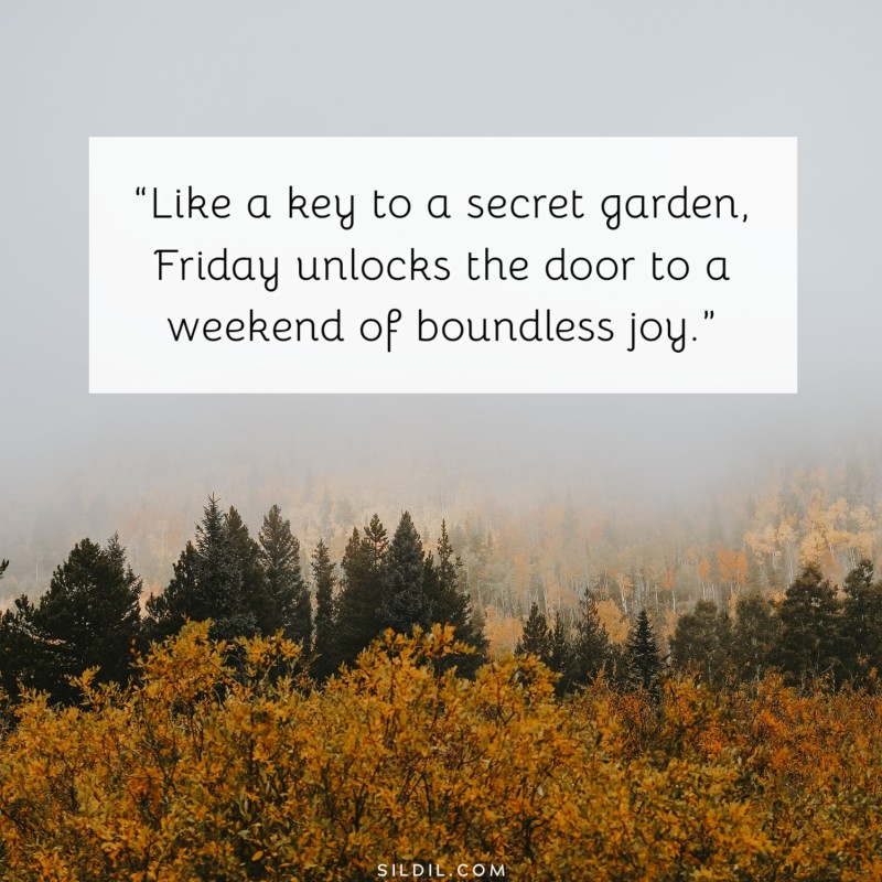 Friday Quotes Images