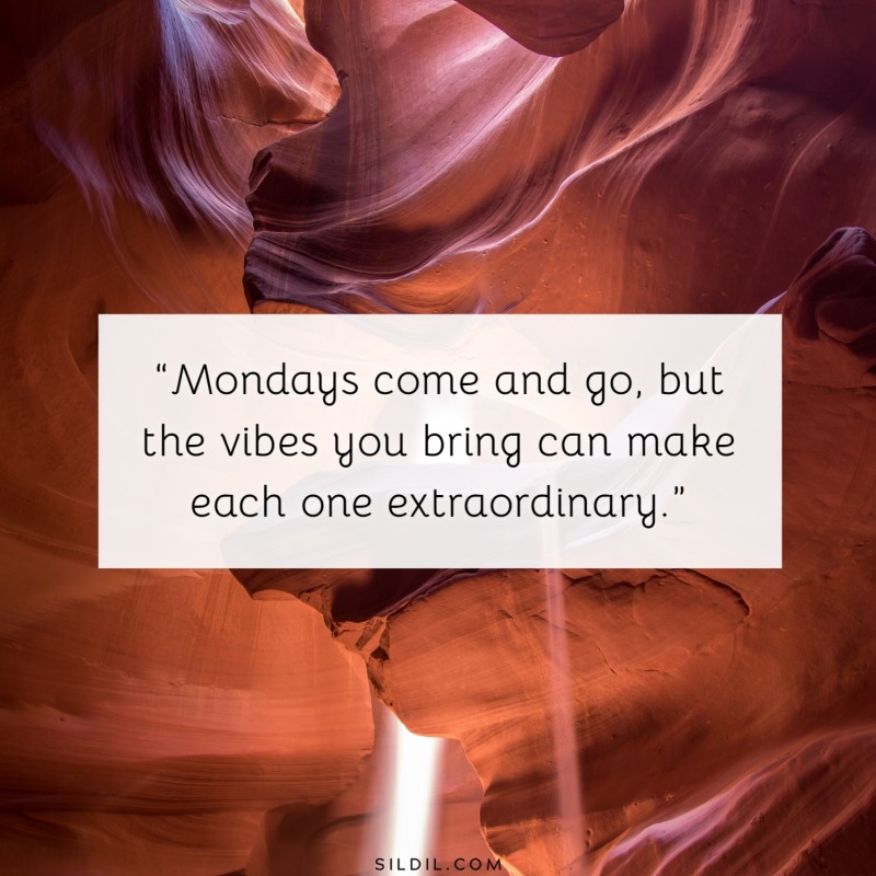 “Mondays come and go, but the vibes you bring can make each one extraordinary.”
