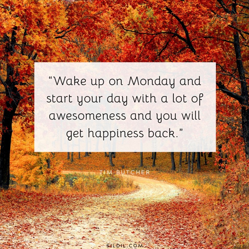 “Wake up on Monday and start your day with a lot of awesomeness and you will get happiness back.” ― Jim Butcher