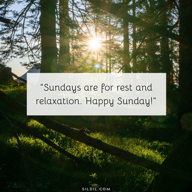 Happy Sunday Quotes