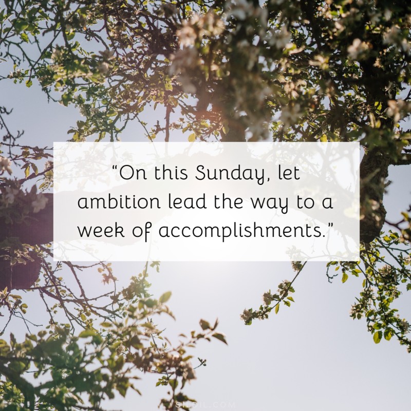 “On this Sunday, let ambition lead the way to a week of accomplishments.”