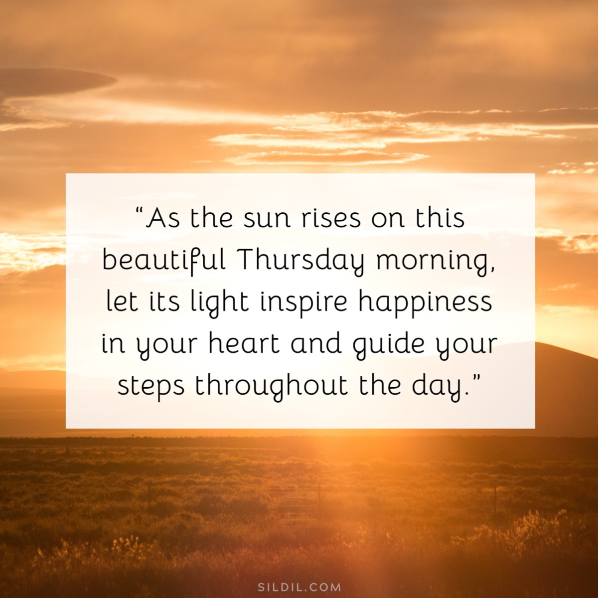 “As the sun rises on this beautiful Thursday morning, let its light inspire happiness in your heart and guide your steps throughout the day.”