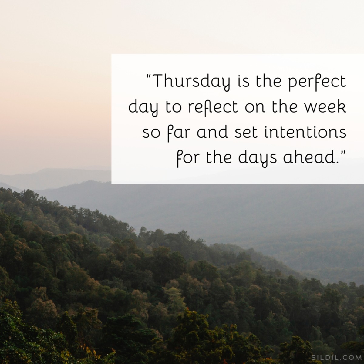 Thoughtful Thursday Quotes