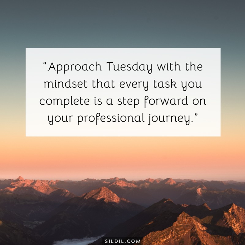 “Approach Tuesday with the mindset that every task you complete is a step forward on your professional journey.”