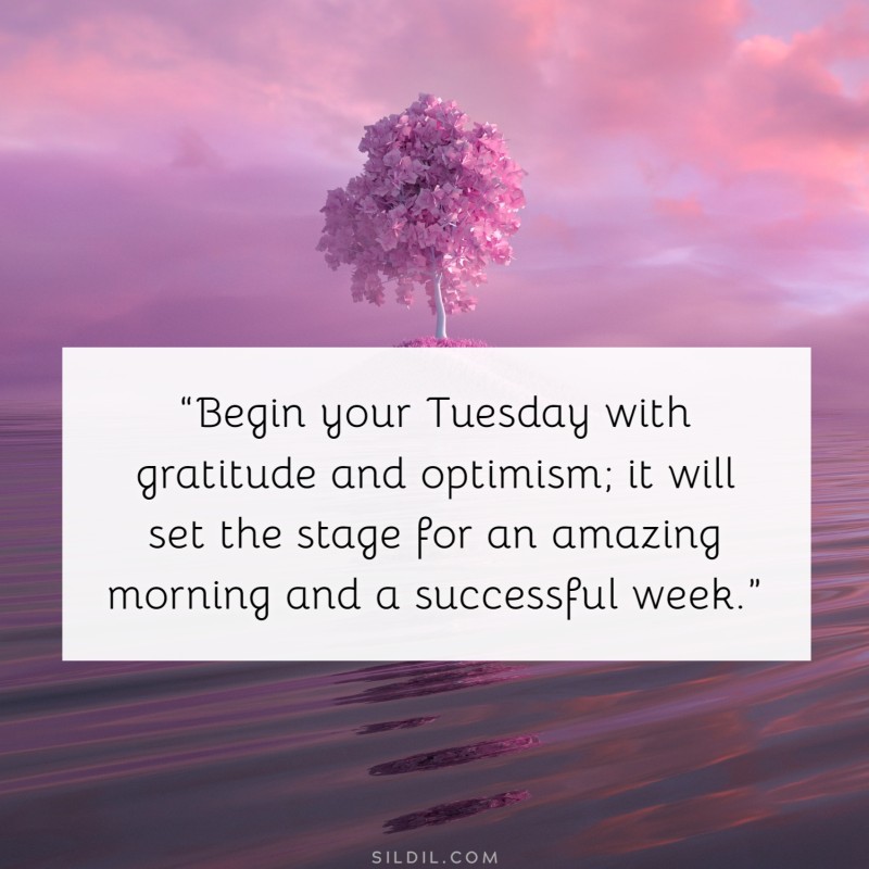 “Begin your Tuesday with gratitude and optimism; it will set the stage for an amazing morning and a successful week.”