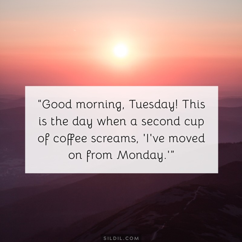“Good morning, Tuesday! This is the day when a second cup of coffee screams, 'I've moved on from Monday.'”