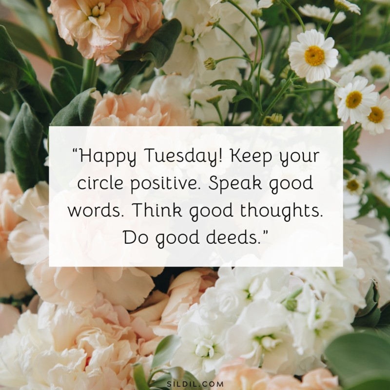 “Happy Tuesday! Keep your circle positive. Speak good words. Think good thoughts. Do good deeds.”