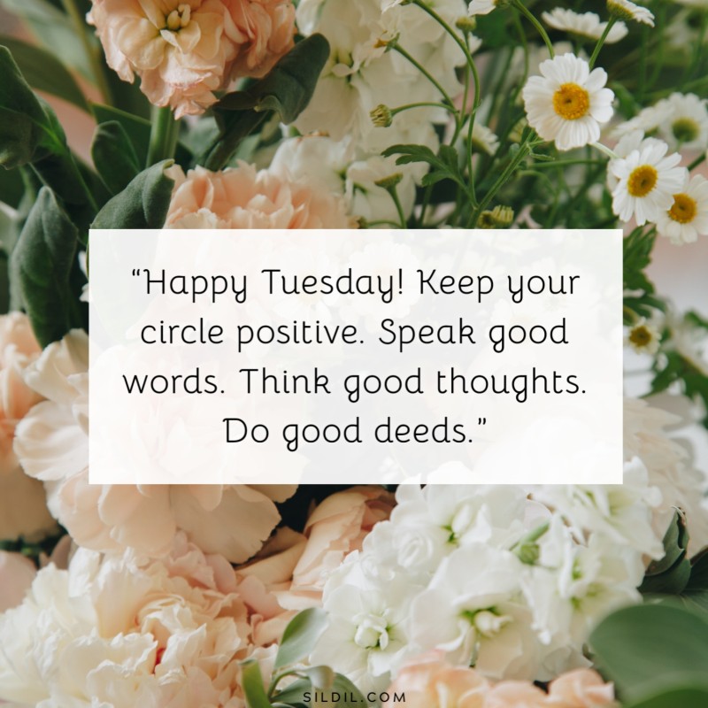 140+ Inspiring Tuesday Motivation Quotes for Work & Daily Life