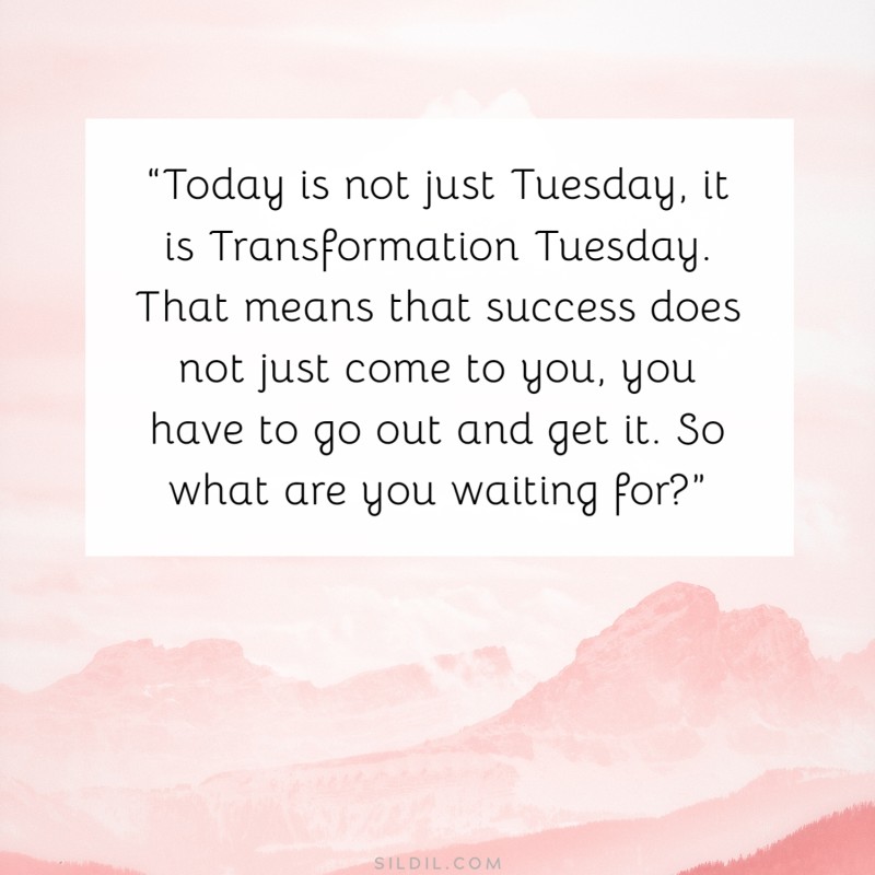 “Today is not just Tuesday, it is Transformation Tuesday. That means that success does not just come to you, you have to go out and get it. So what are you waiting for?”