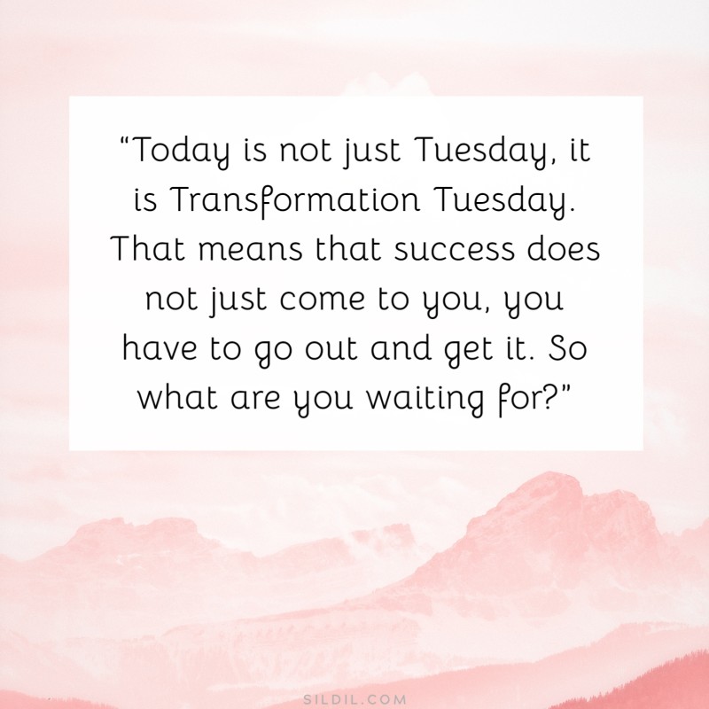 140+ Inspiring Tuesday Motivation Quotes for Work & Daily Life