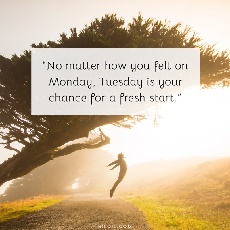 250+ Tuesday Motivation Quotes for Work & Personal Life - DIVEIN