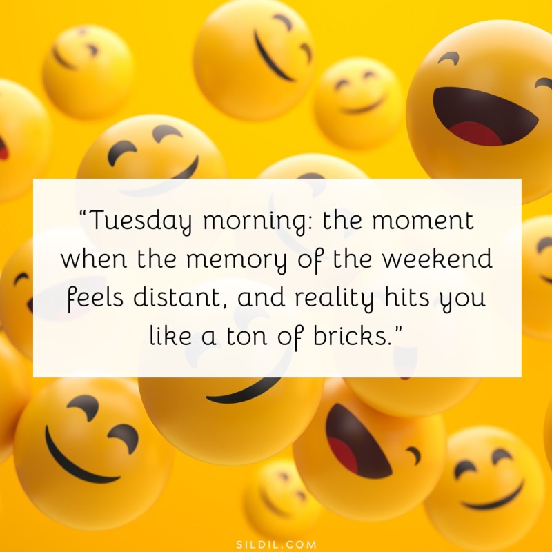 Tuesday Quotes Funny