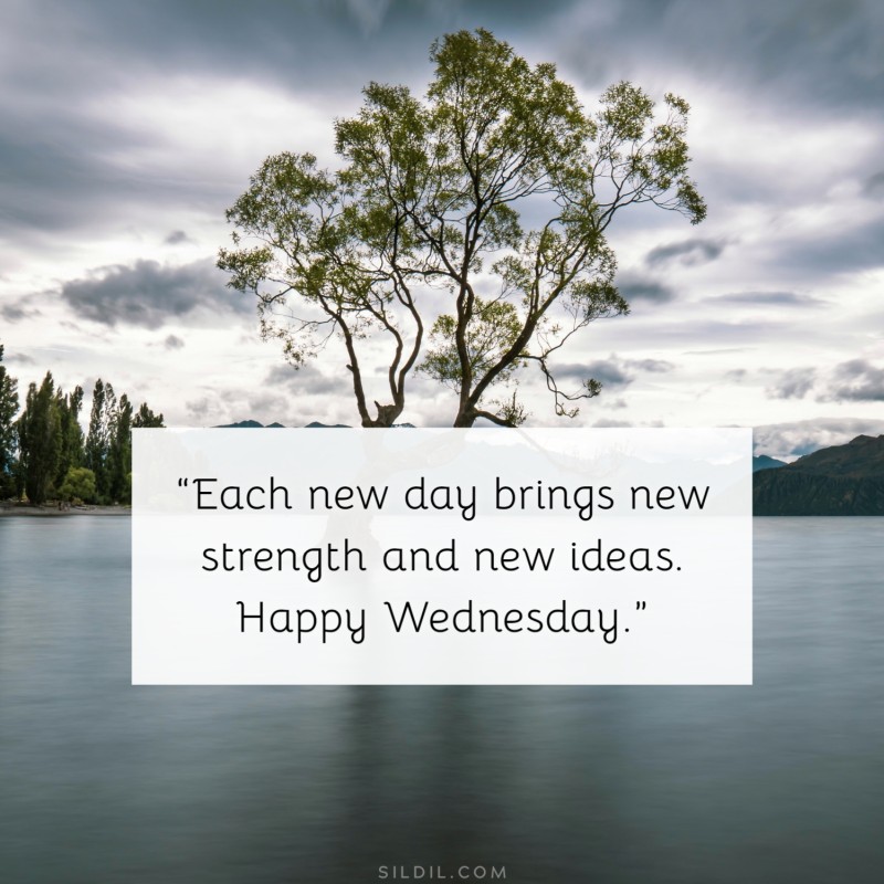 “Each new day brings new strength and new ideas. Happy Wednesday.”