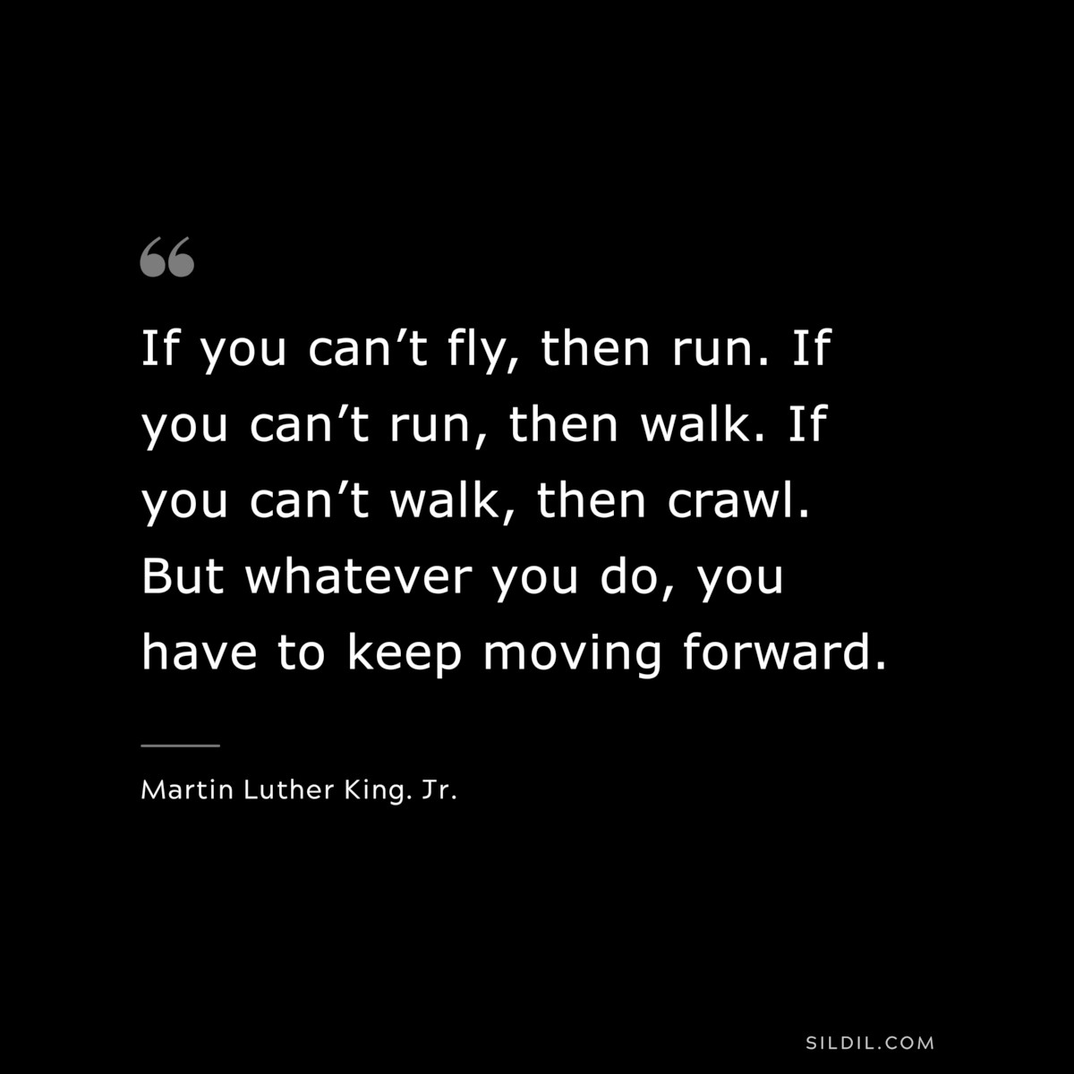 If you can’t fly, then run. If you can’t run, then walk. If you can’t walk, then crawl. But whatever you do, you have to keep moving forward. ― Martin Luther King. Jr.