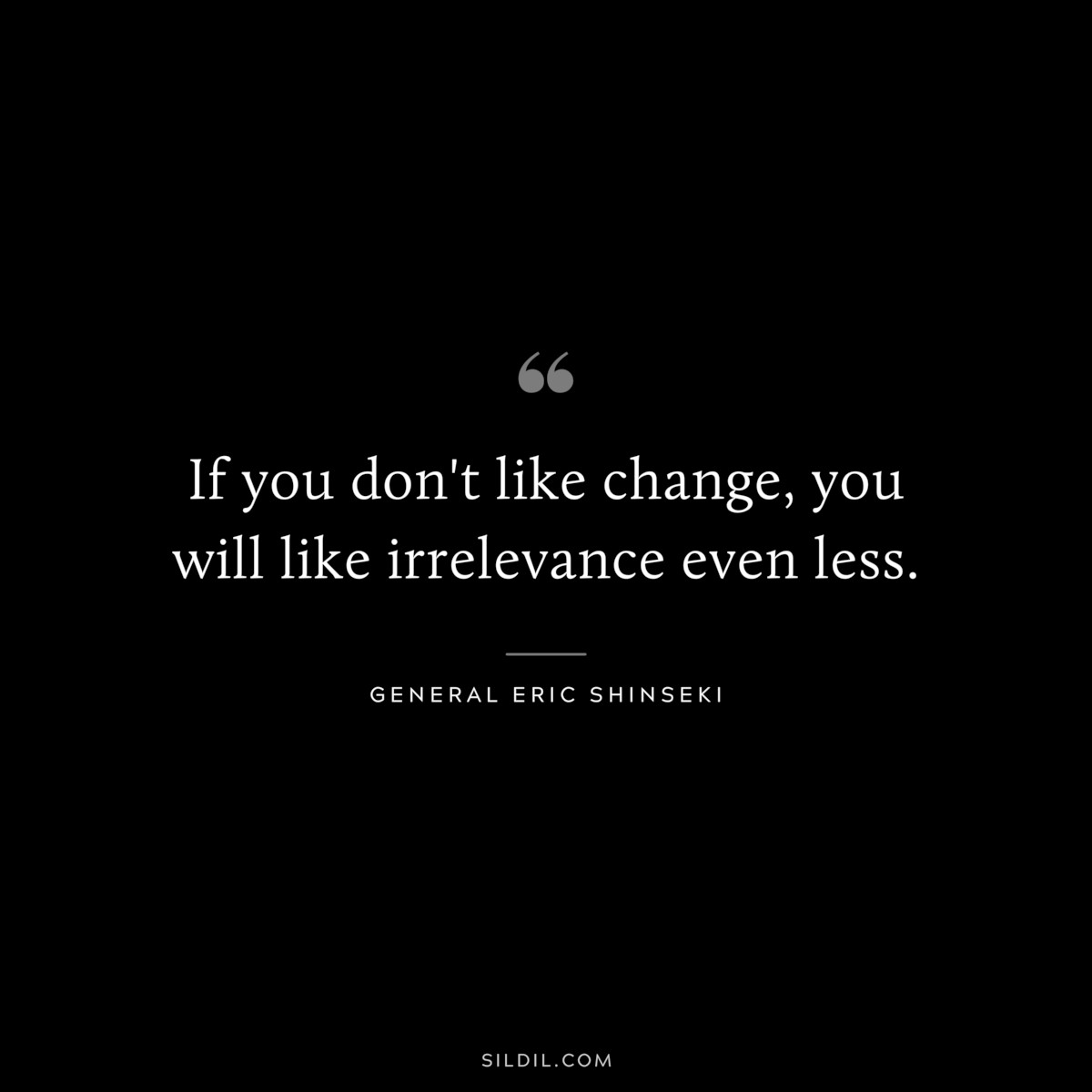 If you don't like change, you will like irrelevance even less. ― General Eric Shinseki