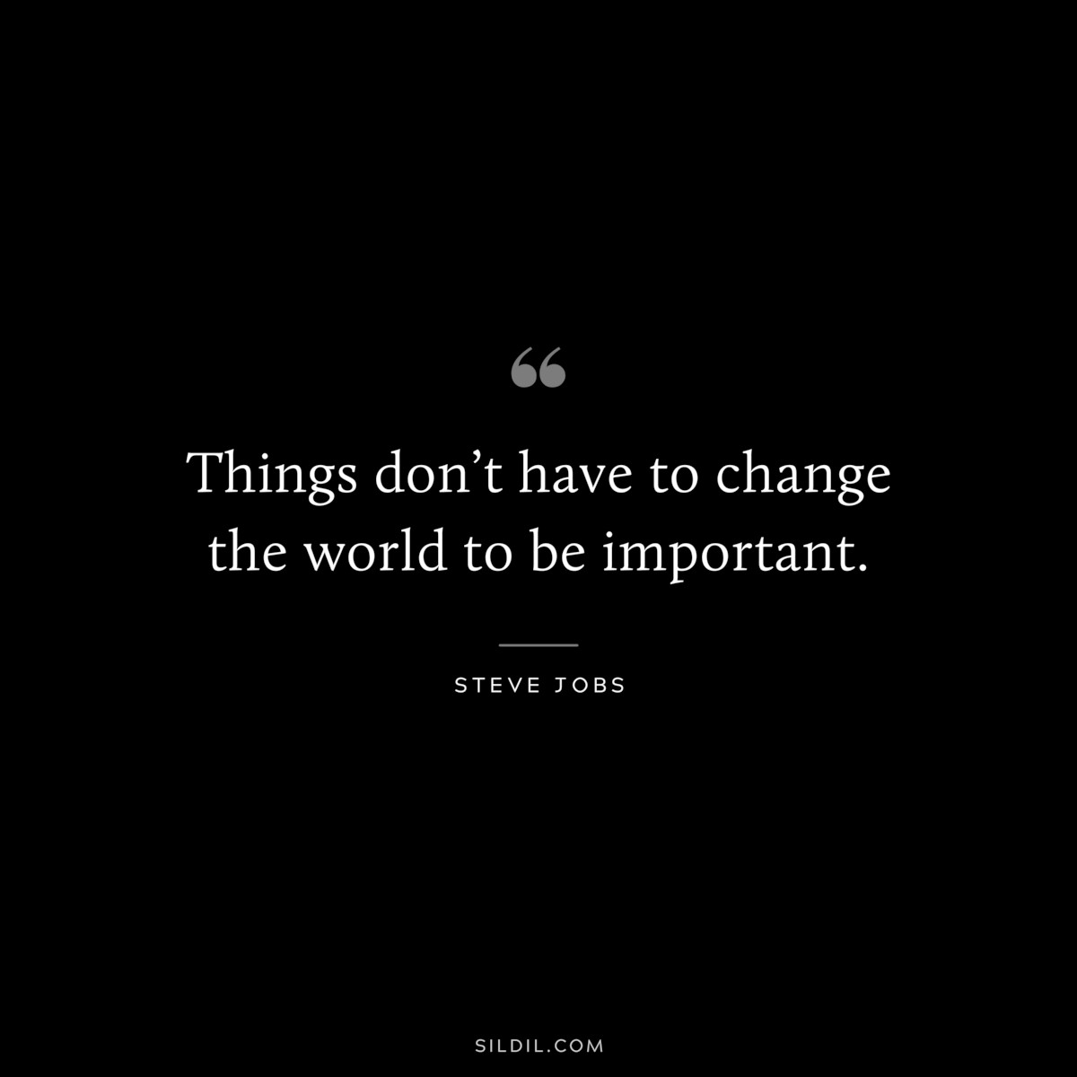 Things don’t have to change the world to be important. ― Steve Jobs