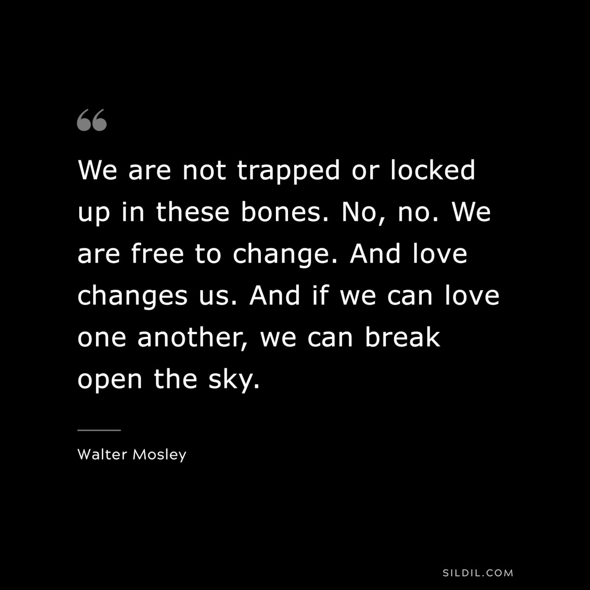 We are not trapped or locked up in these bones. No, no. We are free to change. And love changes us. And if we can love one another, we can break open the sky. ― Walter Mosley