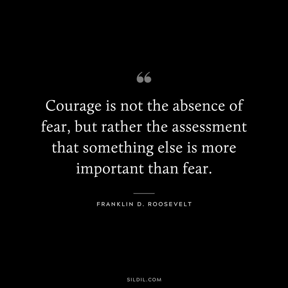 Courage is not the absence of fear, but rather the assessment that something else is more important than fear. ― Franklin D. Roosevelt