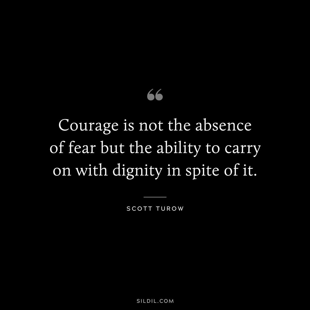 Courage is not the absence of fear but the ability to carry on with dignity in spite of it. ― Scott Turow