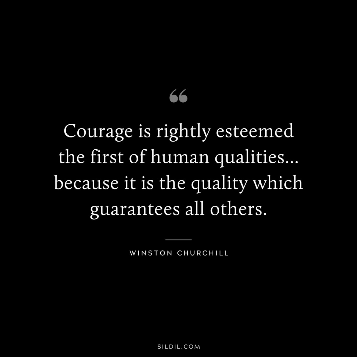 Courage is rightly esteemed the first of human qualities... because it is the quality which guarantees all others. ― Winston Churchill